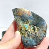19 Pieces High Quality Polished Labradorite Free Form - Wholesale Crystals
