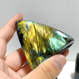19 Pieces High Quality Polished Labradorite Free Form - Wholesale Crystals