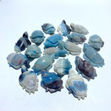 19 Pieces Trolleite Stone Sea Turtles Carving - Wholesale Crystals