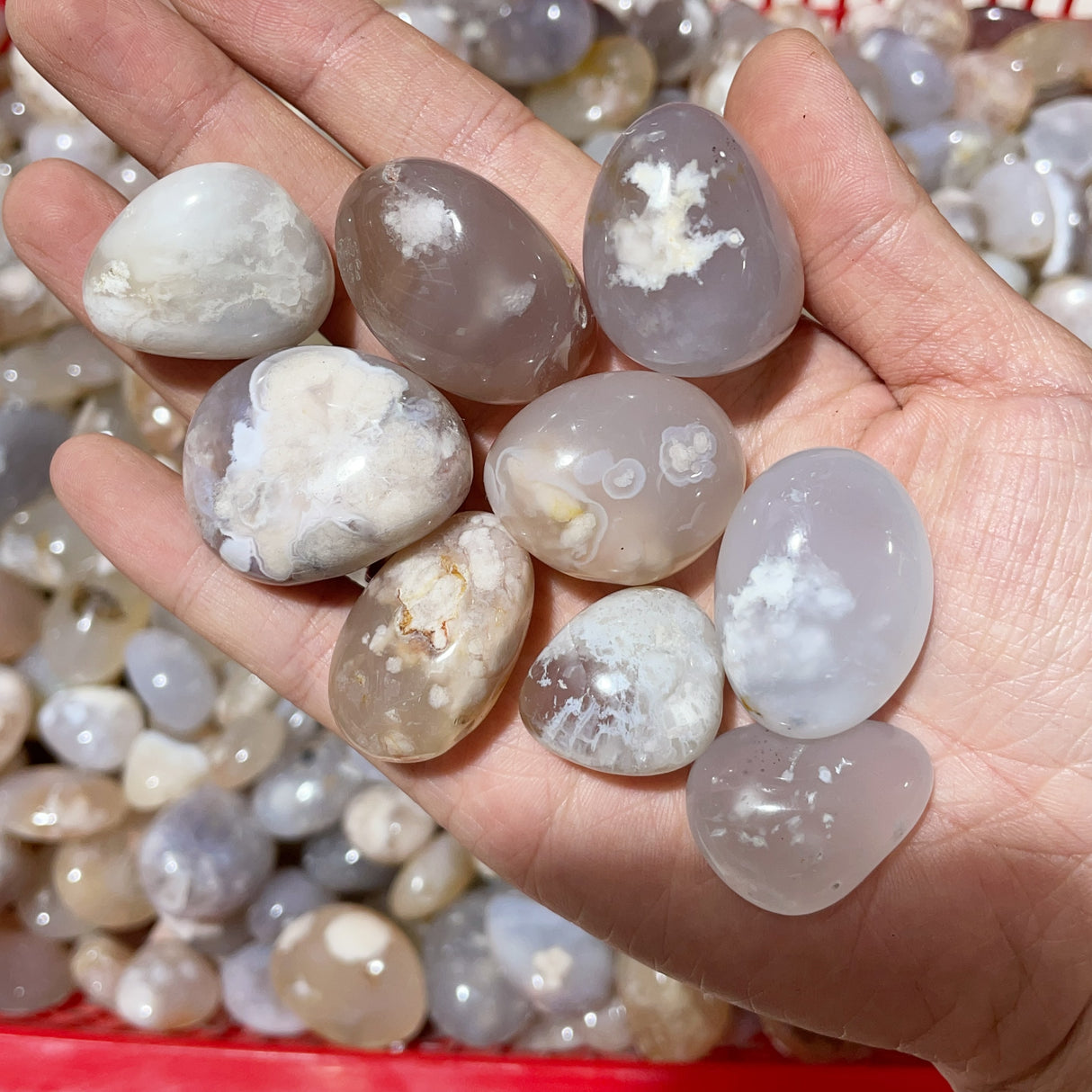 Sakura Flower Agate Tumbled Wholesale