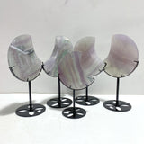 5 Pieces Fluorite Moon Carving With Stand