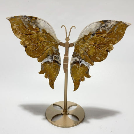 2 Pairs Butterfly Wing Carving With Stand Labradorite Crazy Agate - Wholesale Crystals