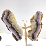 2 Pairs Fluorite Mixed Pyrite Butterfly Wing With Stand 1 - Wholesale Crystals