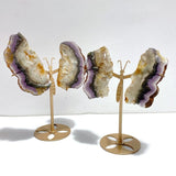 2 Pairs Fluorite Mixed Pyrite Butterfly Wing With Stand 4 - Wholesale Crystals