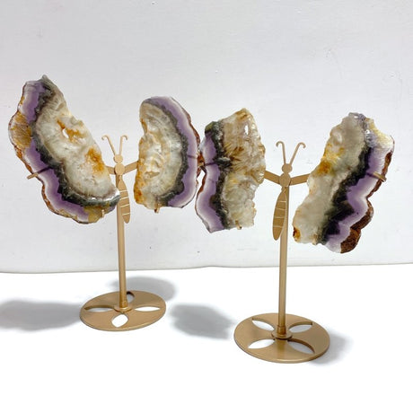 2 Pairs Fluorite Mixed Pyrite Butterfly Wing With Stand 4 - Wholesale Crystals