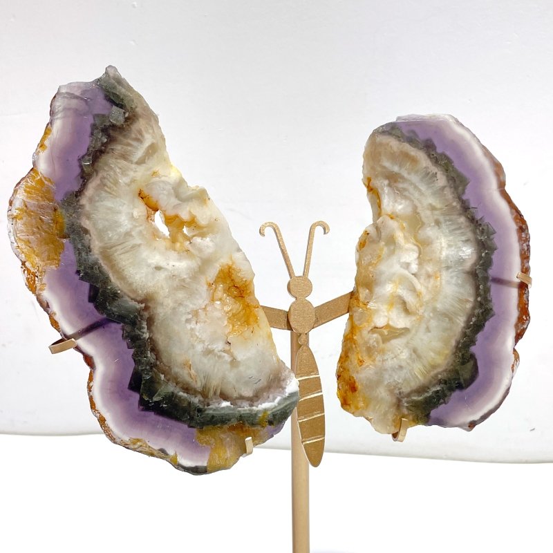 2 Pairs Fluorite Mixed Pyrite Butterfly Wing With Stand 4 - Wholesale Crystals