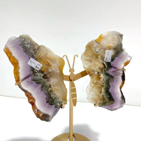 2 Pairs Fluorite Mixed Pyrite Butterfly Wing With Stand 8 - Wholesale Crystals