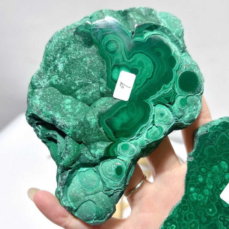 2 Pairs Polished Malachite Raw Slab Butterfly Wing Crystal Carving With Stand (#1) - Wholesale Crystals