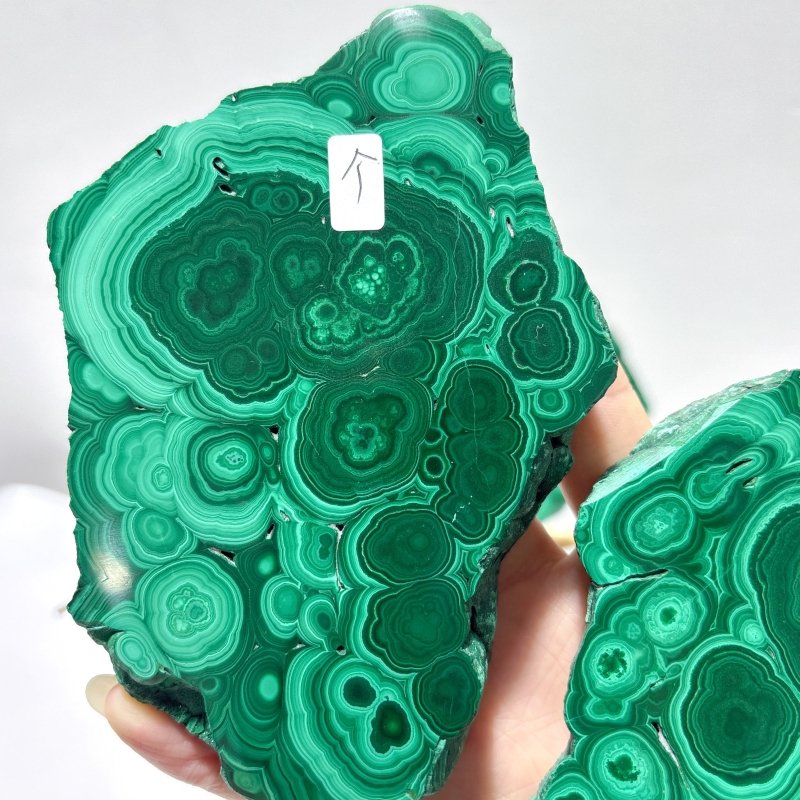 2 Pairs Polished Malachite Raw Slab Butterfly Wing Crystal Carving With Stand (#1) - Wholesale Crystals