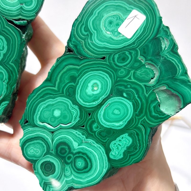 2 Pairs Polished Malachite Raw Slab Butterfly Wing Crystal Carving With Stand (#1) - Wholesale Crystals