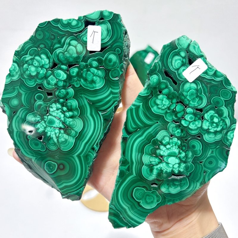 2 Pairs Polished Malachite Raw Slab Butterfly Wing With Stand (#3) - Wholesale Crystals