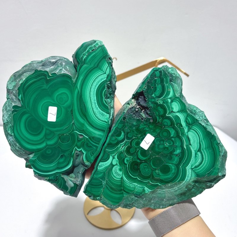 2 Pairs Polished Malachite Raw Slab Butterfly Wing With Stand (#5) - Wholesale Crystals