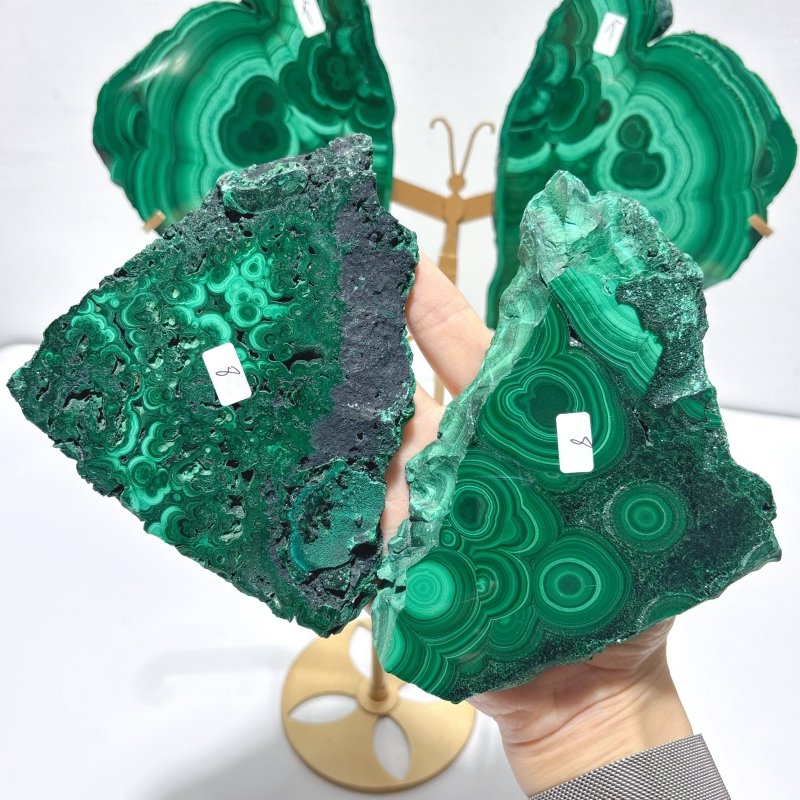 2 Pairs Polished Malachite Raw Slab Butterfly Wing With Stand (#5) - Wholesale Crystals