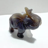 2 Pieces Amethyst Mixed Geode Agate Druzy Elephant Animal Carving A09 - Wholesale Crystals