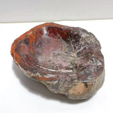2 Pieces Large Petrified Wood Bowl - Wholesale Crystals