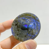 20 Pieces Labradorite Constellation Carving Clearance - Wholesale Crystals