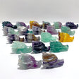 20 Pieces Rainbow Fluorite Dragon Head Carving - Wholesale Crystals