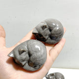 20 Pieces Silver Sheen Obsidian Sleeping Cat Carving - Wholesale Crystals
