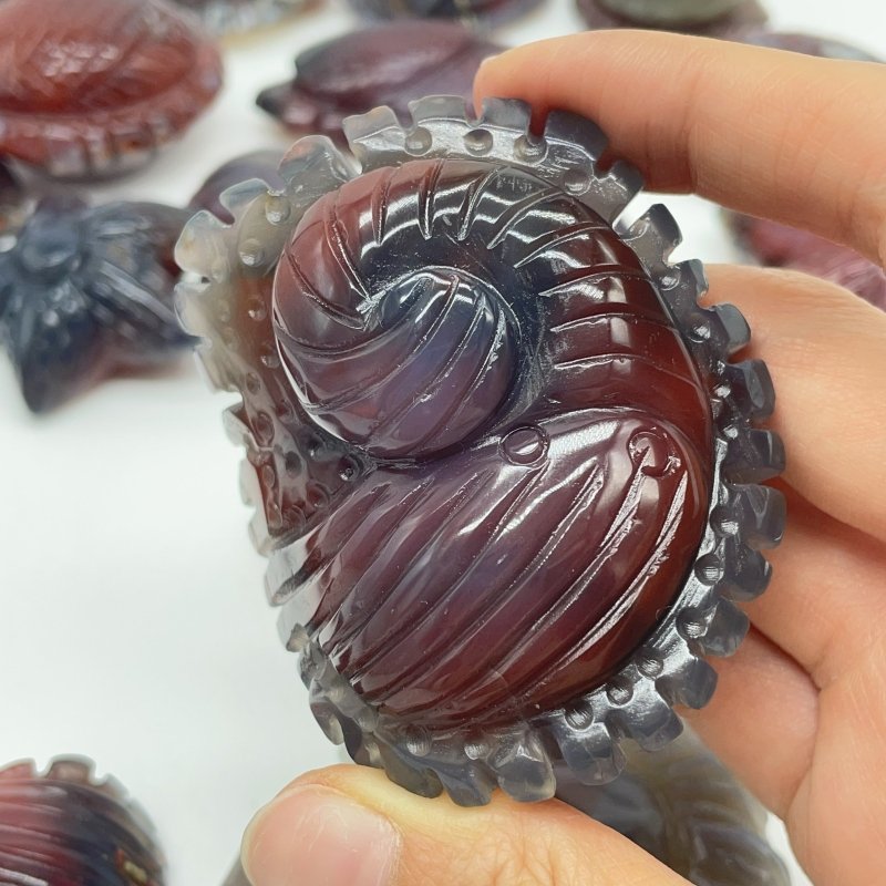 21 Pieces African Red Agate Sea Animals Carving -Wholesale Crystals