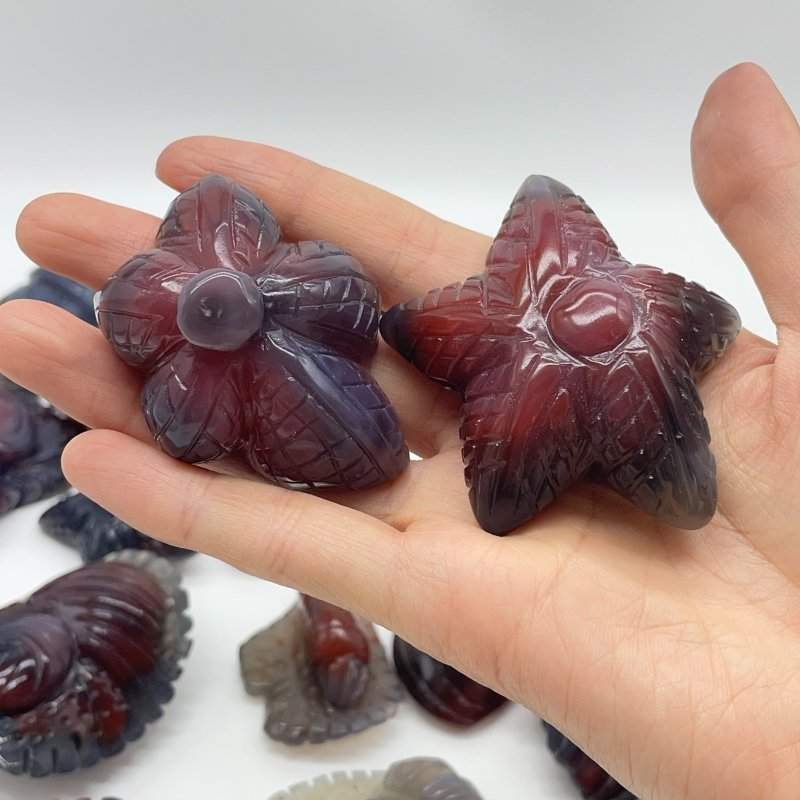 21 Pieces African Red Agate Sea Animals Carving -Wholesale Crystals