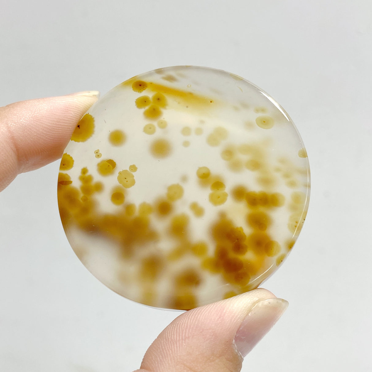 11 Pieces Natural Rare Scenic Dendritic Agate Stone