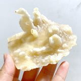 23 Pieces Raw Agate Stones(Sea Freight Only) -Wholesale Crystals