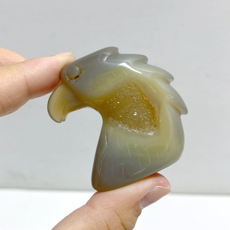 25 Pieces Geode Druzy Agate Eagle Carving -Wholesale Crystals