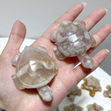 26 Pieces High Quality Sakura Flower Agate Sea Turtle Carving - Wholesale Crystals