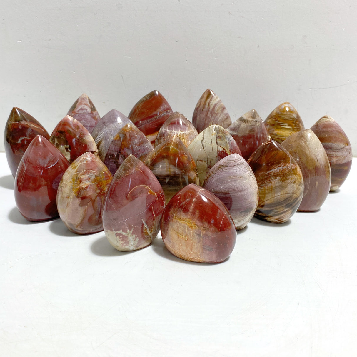 20 Pieces Petrified Wood Stone Arrow Head Shape