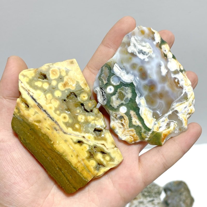 29 Pieces Beautiful 8th Vein Ocean Jasper Slab - Wholesale Crystals