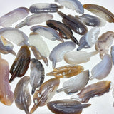 29 Pieces Geode Agate Feather Carving - Wholesale Crystals