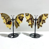 4 Pairs Septarium Butterfly Wing Carving With Stand #2