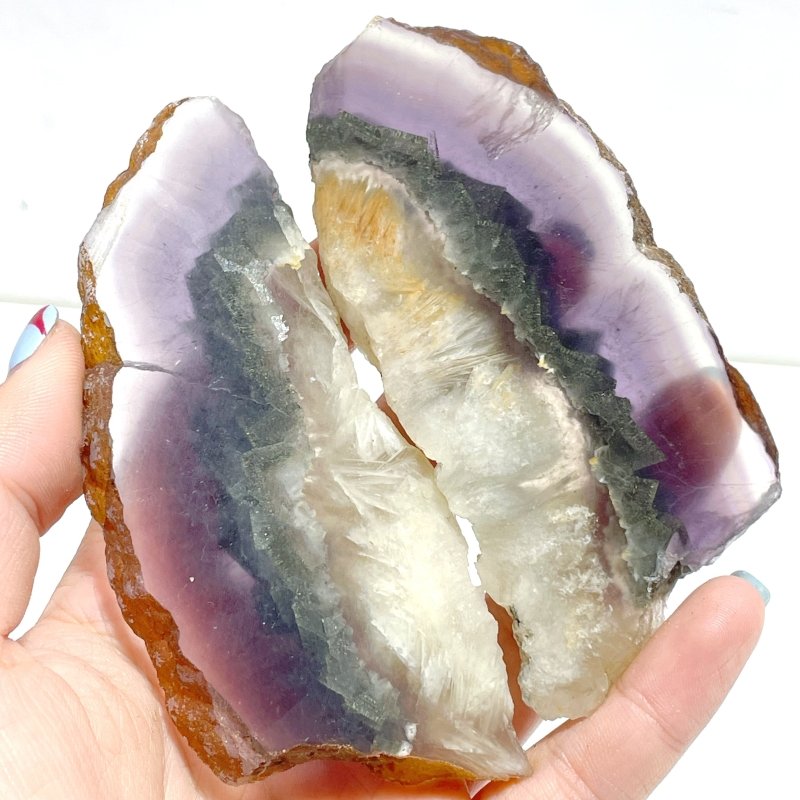 3 Pairs Fluorite Mixed Pyrite Butterfly Wing With Stand 6 - Wholesale Crystals