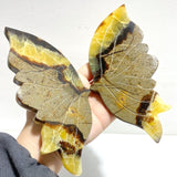 3 Pairs Septarian Butterfly Wing Carving With Stand 6 - Wholesale Crystals