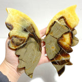 3 Pairs Septarium Butterfly Wing Carving With Stand 1 - Wholesale Crystals
