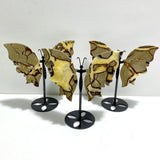3 Pairs Septarium Butterfly Wing Carving With Stand 4 - Wholesale Crystals
