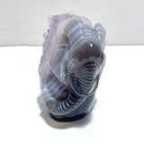 3 Pieces Amethyst Mixed Geode Druzy Agate Elephant Animal Carving A14 - Wholesale Crystals