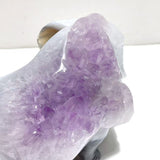 3 Pieces Amethyst Mixed Geode Druzy Agate Elephant Animal Carving A22 - Wholesale Crystals