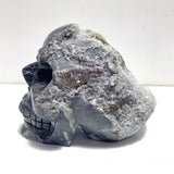 3 Pieces Black Clear Quartz Cluster Skull Carving - Wholesale Crystals