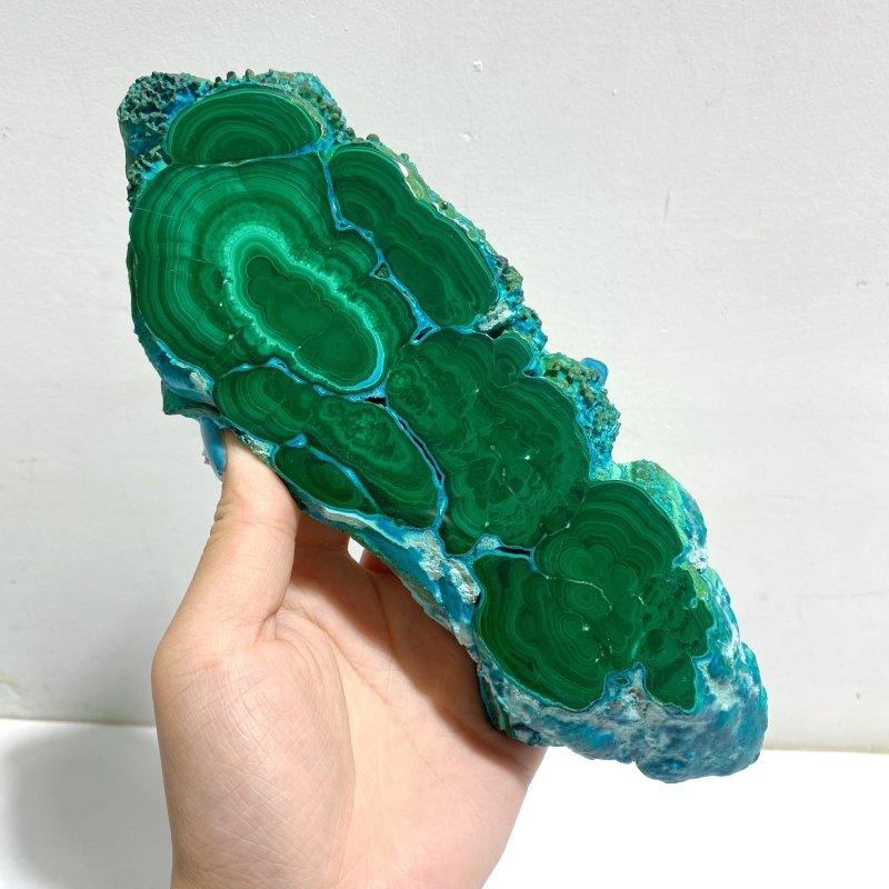 3 Pieces High Quality Beautiful Chrysocolla Mixed Malachite Slab Specimen 8 - Wholesale Crystals