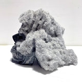 3 Pieces Large Black Clear Quartz Cluster Skull Carving - Wholesale Crystals