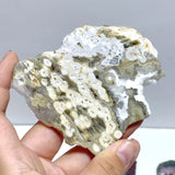 30 Pieces Beautiful 8th Vein Ocean Jasper Slab - Wholesale Crystals