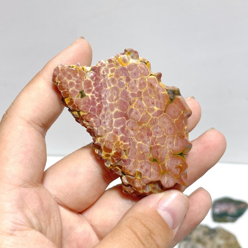 30 Pieces Beautiful 8th Vein Ocean Jasper Slab - Wholesale Crystals