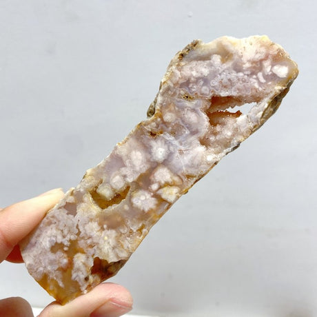 33 Pieces Sakura Flower Agate Slab - Wholesale Crystals