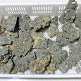 37 Pieces Raw Pyrite Stones (Sea Freight Only) -Wholesale Crystals