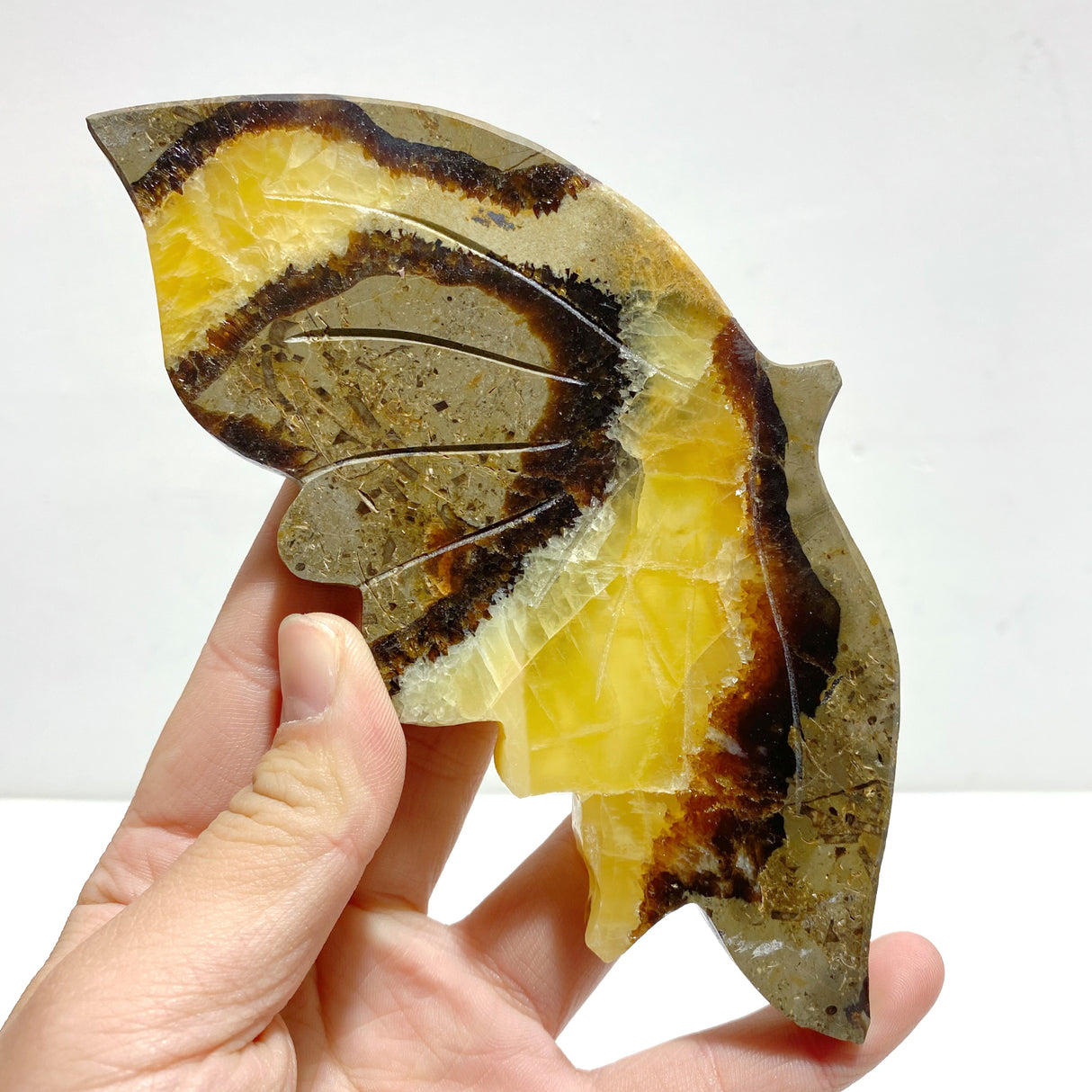 4 Pairs Septarium Butterfly Wing Carving With Stand #2