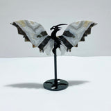 4 Pairs Agate Flying Dragon Wing With Stand Morocco Agate - Wholesale Crystals