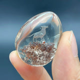 4 Pieces Beautiful Wolf Garden Quartz Inner Scene Carving - Wholesale Crystals