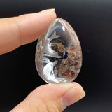 4 Pieces Dolphin Garden Quartz Inner Scene Carving -Wholesale Crystals