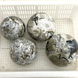 4 Pieces Large Volcano Agate Spheres Balls(UV - Reactive) - Wholesale Crystals
